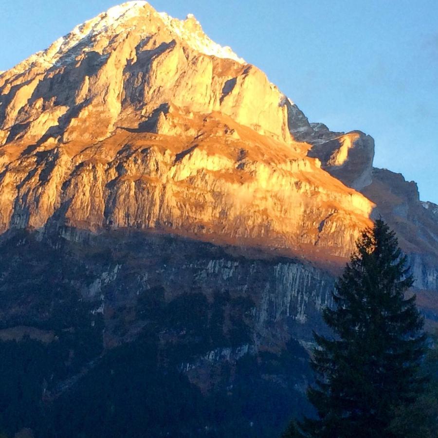 Eiger, Jungfrau, Luxury Garden Apartment Grindelwald Exterior photo