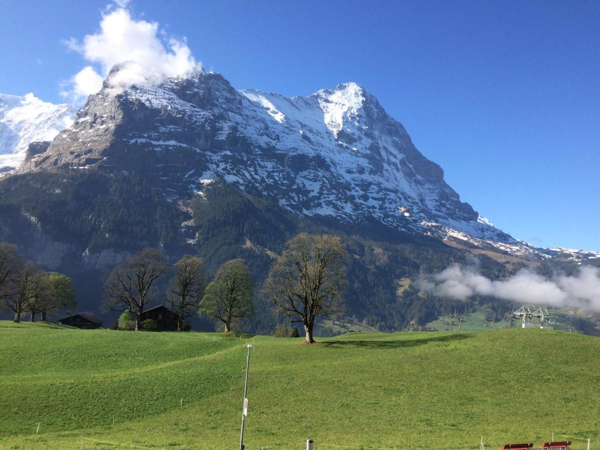 Eiger, Jungfrau, Luxury Garden Apartment Grindelwald Exterior photo