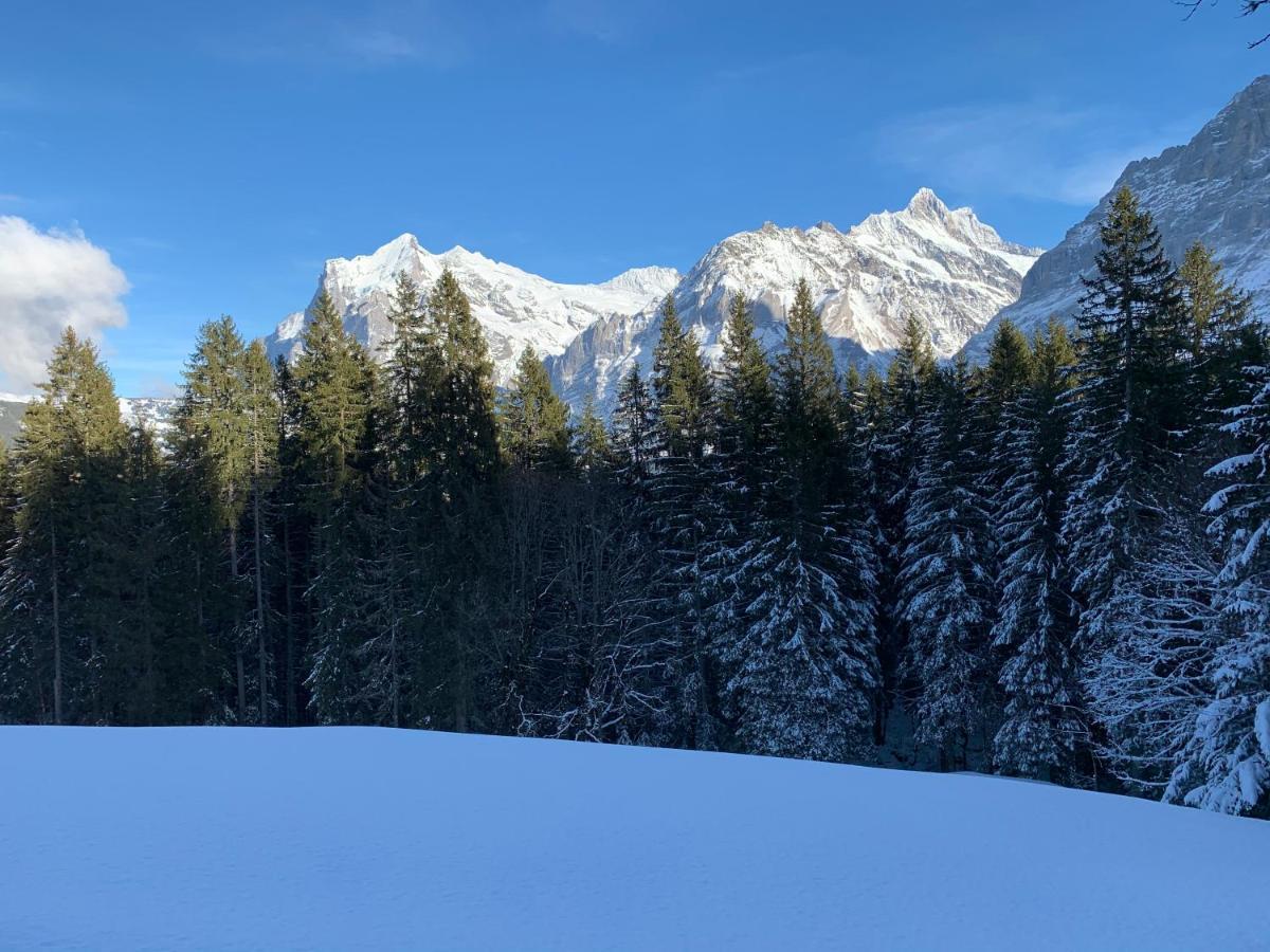 Eiger, Jungfrau, Luxury Garden Apartment Grindelwald Exterior photo