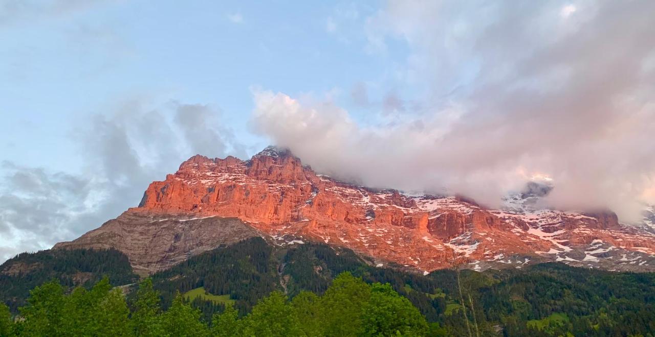 Eiger, Jungfrau, Luxury Garden Apartment Grindelwald Exterior photo