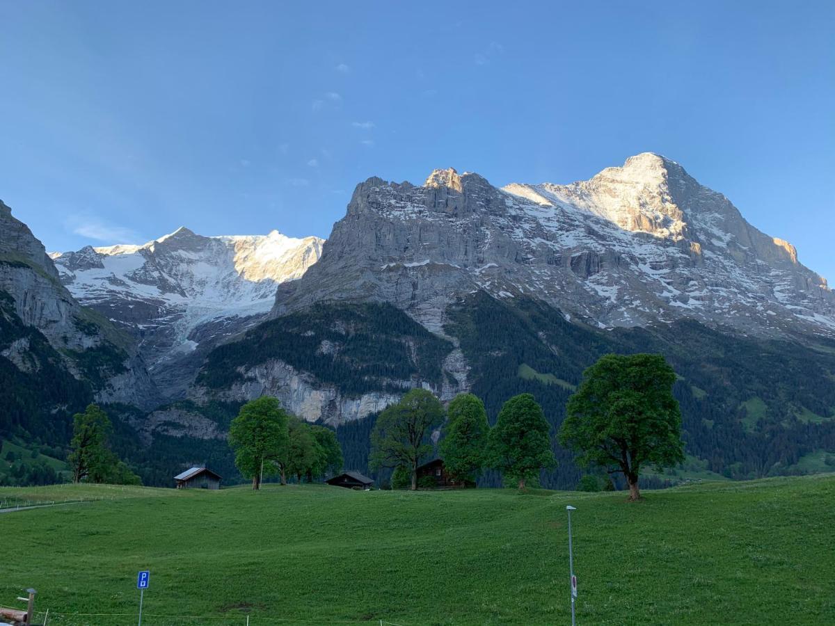 Eiger, Jungfrau, Luxury Garden Apartment Grindelwald Exterior photo